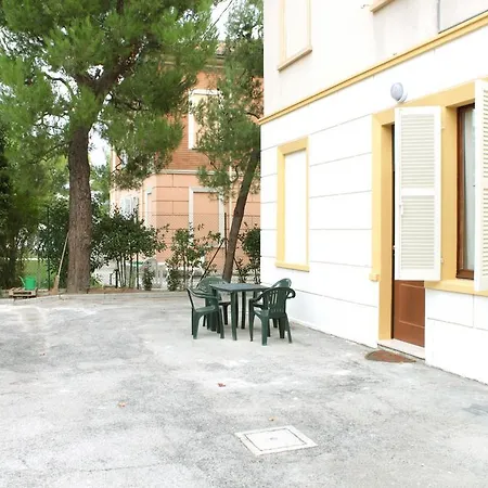 Pino Marittimo Чивитанова-Марке