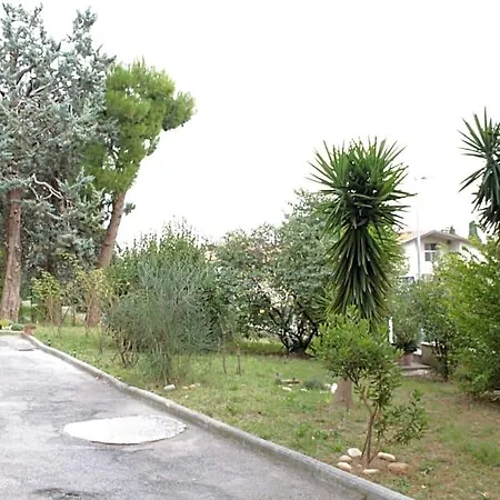 Pino Marittimo Civitanova Marche