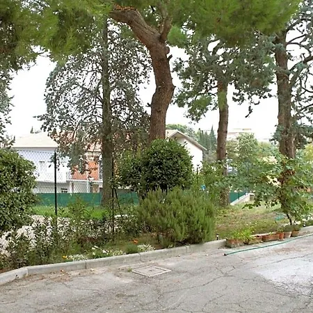 Pino Marittimo Panzió Civitanova Marche