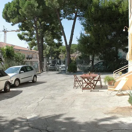 Pino Marittimo Civitanova Marche